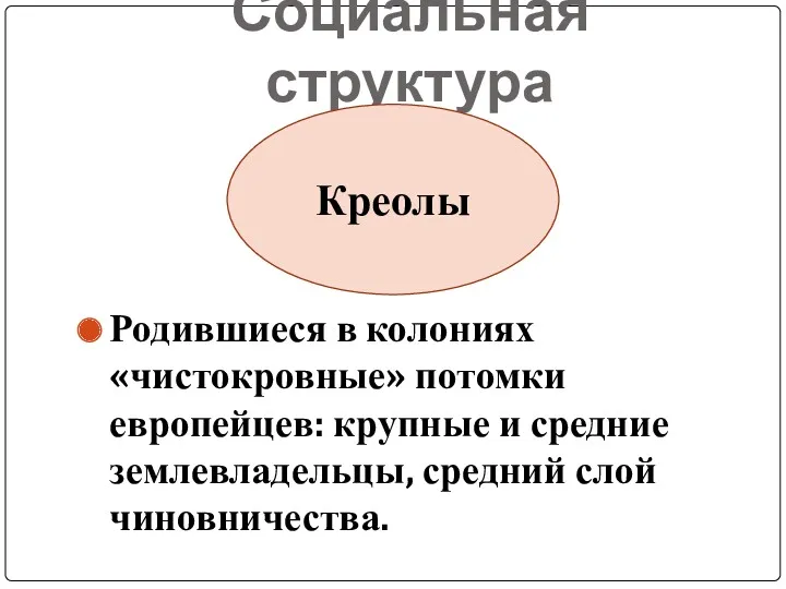 Социальная структура Родившиеся в колониях «чистокровные» потомки европейцев: крупные и средние землевладельцы, средний слой чиновничества. Креолы