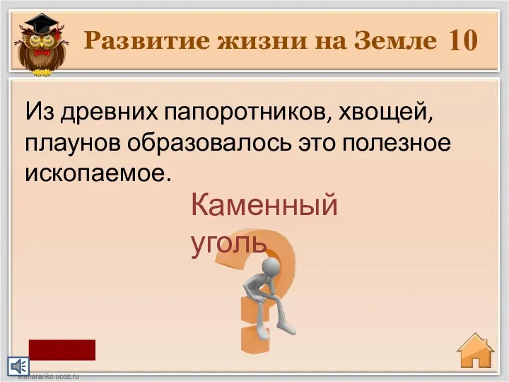 Развитие жизни на Земле 10 Каменный уголь Из древних папоротников,