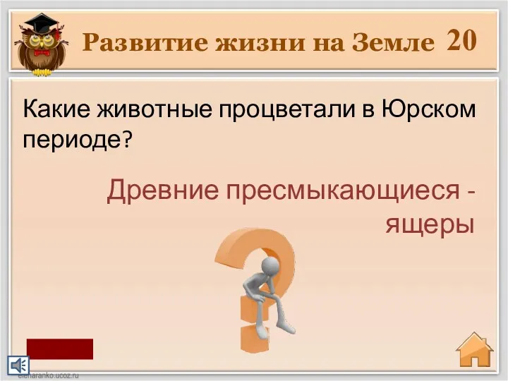 Развитие жизни на Земле 20 Древние пресмыкающиеся - ящеры Какие животные процветали в Юрском периоде? старт