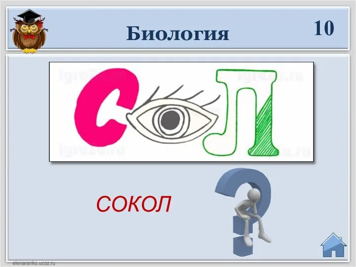 Биология СОКОЛ 10