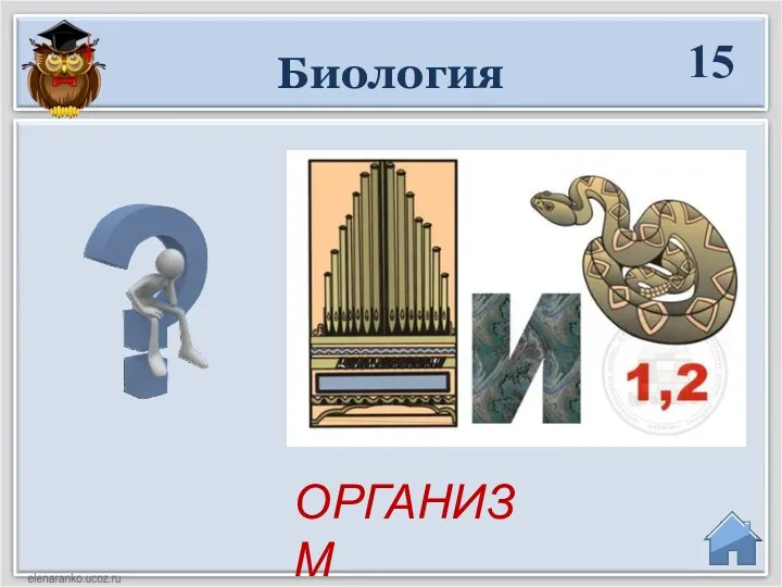 Биология ОРГАНИЗМ 15