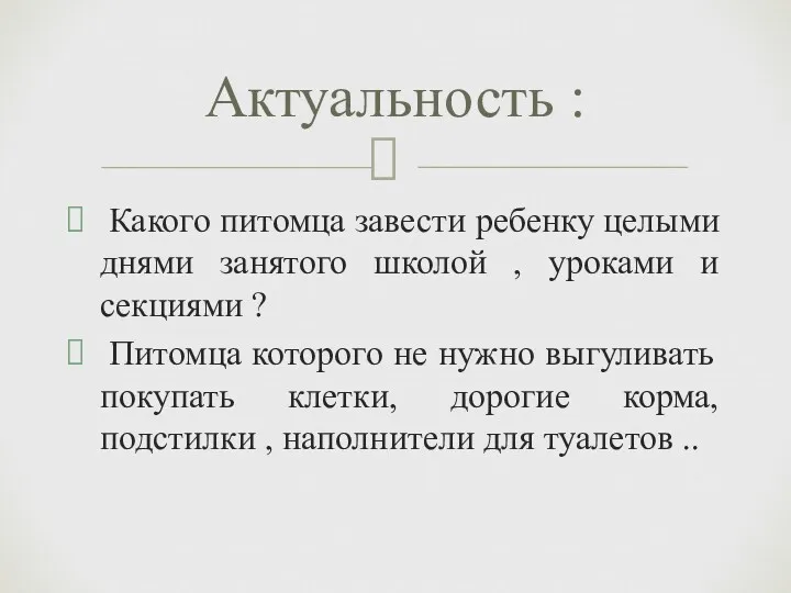 Какого питомца завести ребенку целыми днями занятого школой , уроками