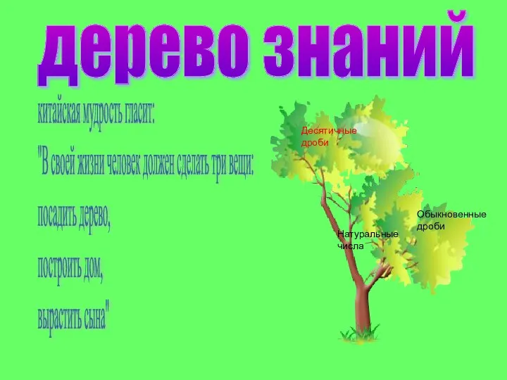 дерево знаний китайская мудрость гласит: "В своей жизни человек должен