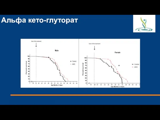 Альфа кето-глуторат