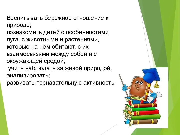 Воспитывать бережное отношение к природе; познакомить детей с особенностями луга,