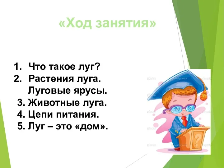 «Ход занятия» Что такое луг? Растения луга. Луговые ярусы. 3.