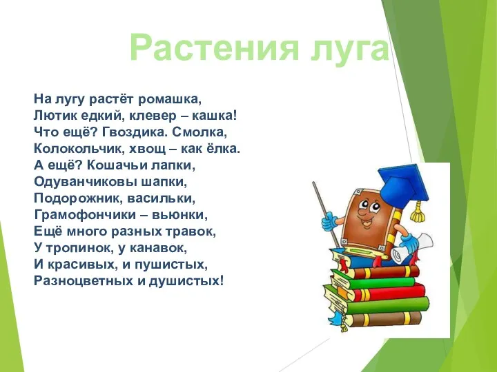 На лугу растёт ромашка, Лютик едкий, клевер – кашка! Что