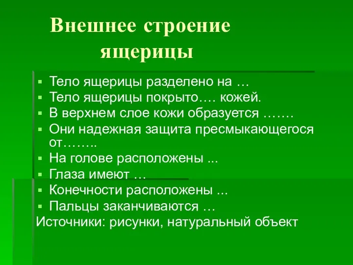 Внешнее строение ящерицы Тело ящерицы разделено на … Тело ящерицы