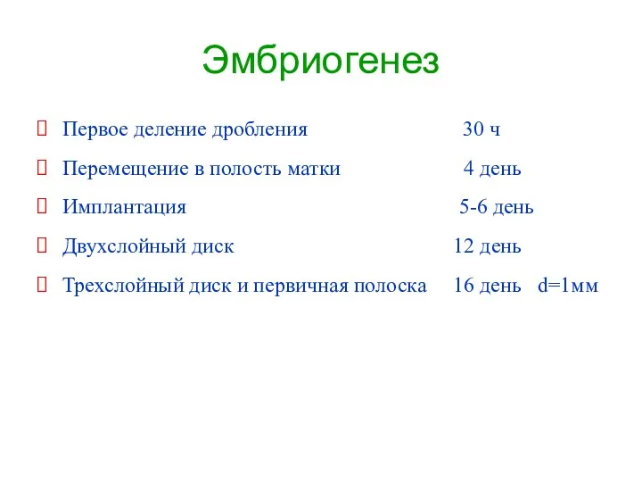 Эмбриогенез Первое деление дробления 30 ч Перемещение в полость матки