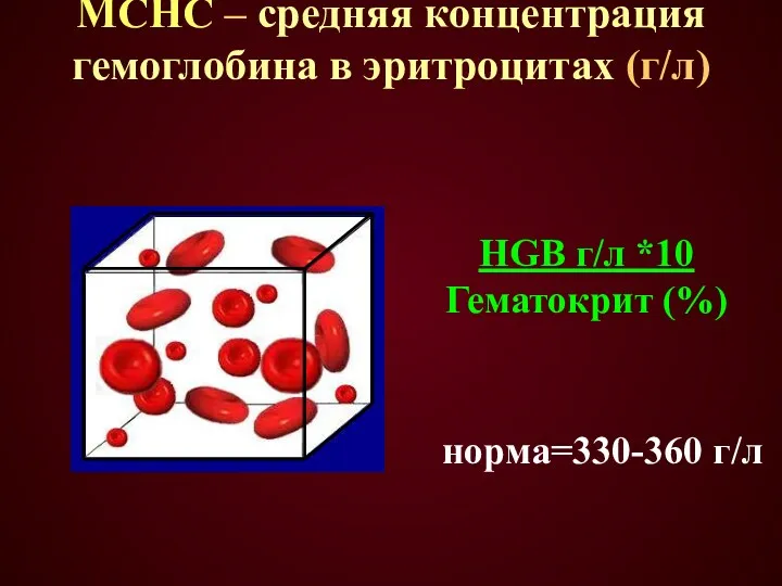 MCHC – средняя концентрация гемоглобина в эритроцитах (г/л) HGB г/л *10 Гематокрит (%) норма=330-360 г/л