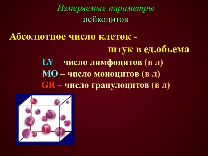 LY – число лимфоцитов (в л) МО – число моноцитов
