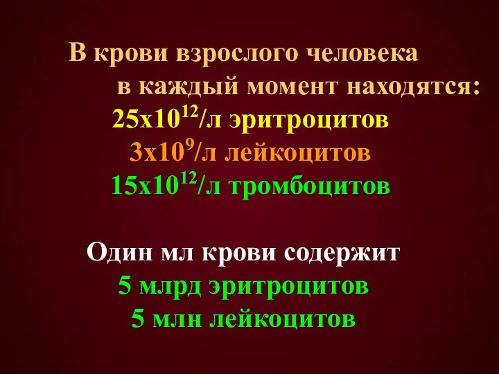 В крови взрослого человека в каждый момент находятся: 25х1012/л эритроцитов