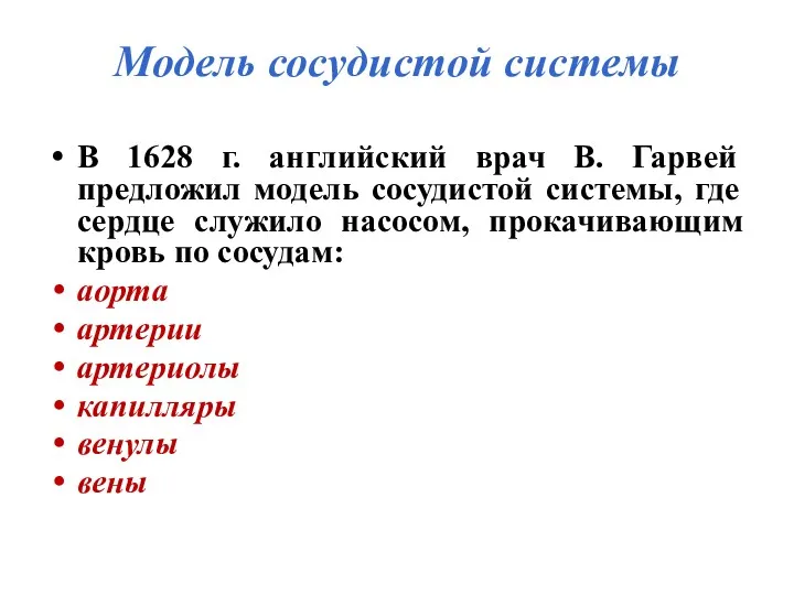 Модель сосудистой системы В 1628 г. английский врач В. Гарвей предложил модель сосудистой