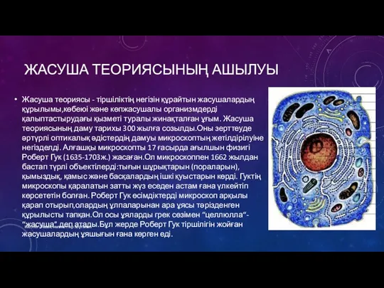 ЖАСУША ТЕОРИЯСЫНЫҢ АШЫЛУЫ Жасуша теориясы - тіршіліктің негізін құрайтын жасушалардың