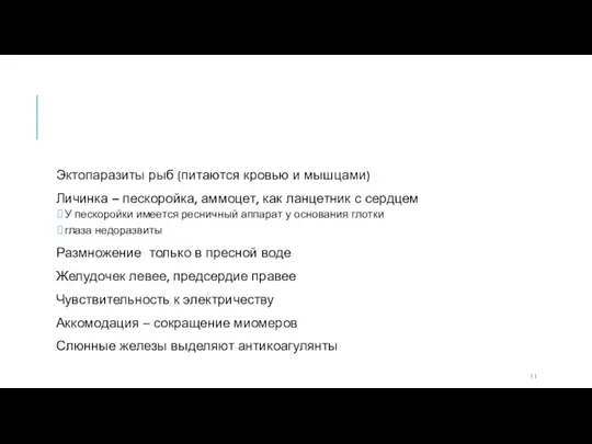 Эктопаразиты рыб (питаются кровью и мышцами) Личинка – пескоройка, аммоцет,