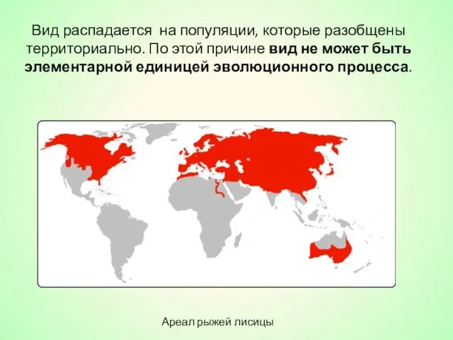 Вид распадается на популяции, которые разобщены территориально. По этой причине