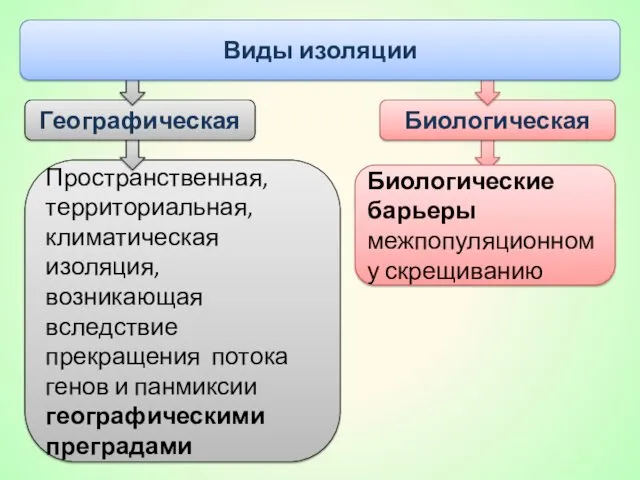 Пространственная, территориальная, климатическая изоляция, возникающая вследствие прекращения потока генов и