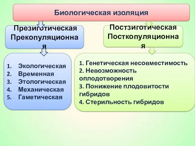 Экологическая Временная Этологическая Механическая Гаметическая 1. Генетическая несовместимость 2. Невозможность