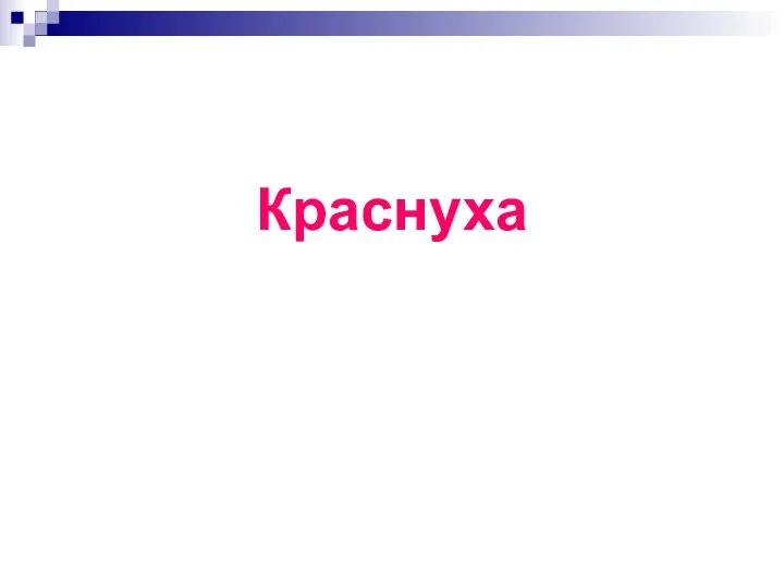 Краснуха