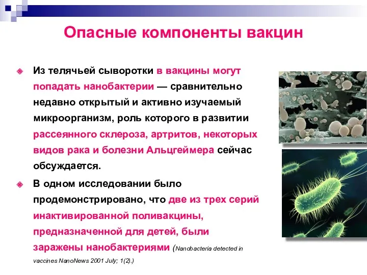 Из телячьей сыворотки в вакцины могут попадать нанобактерии — сравнительно