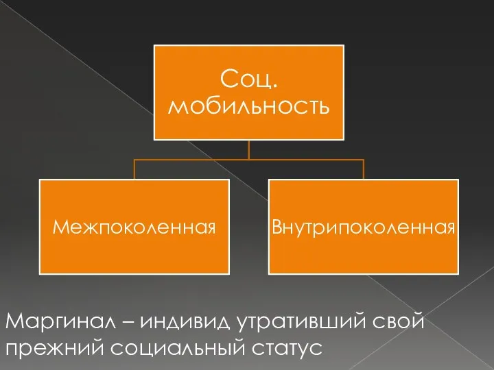 Маргинал – индивид утративший свой прежний социальный статус