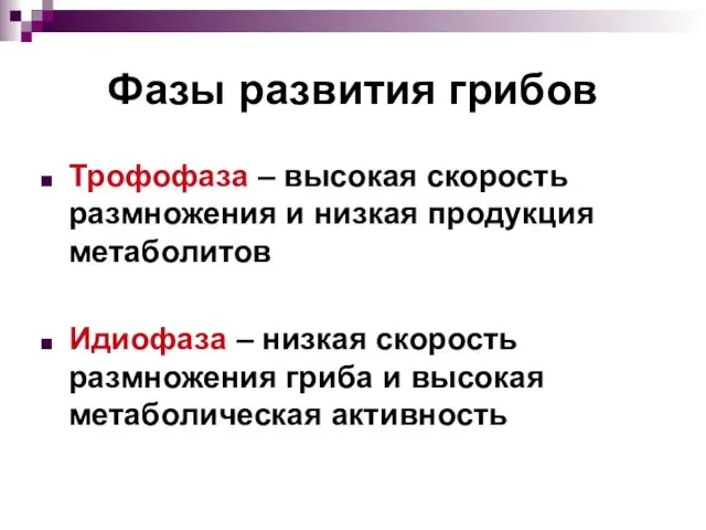 Фазы развития грибов Трофофаза – высокая скорость размножения и низкая