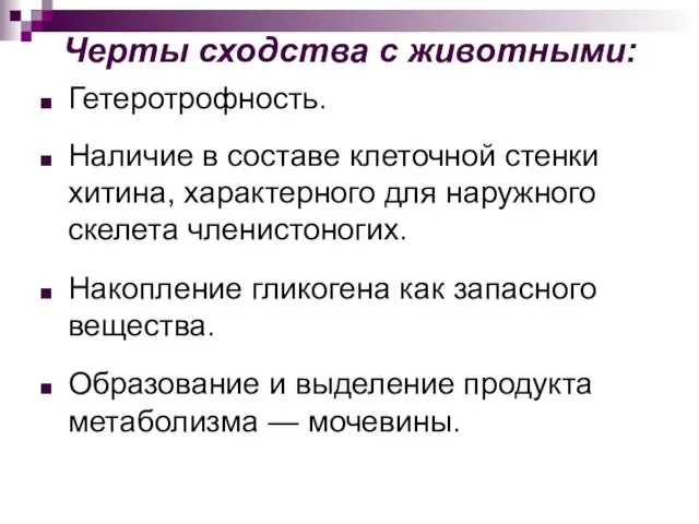 Черты сходства с животными: Гетеротрофность. Наличие в составе клеточной стенки