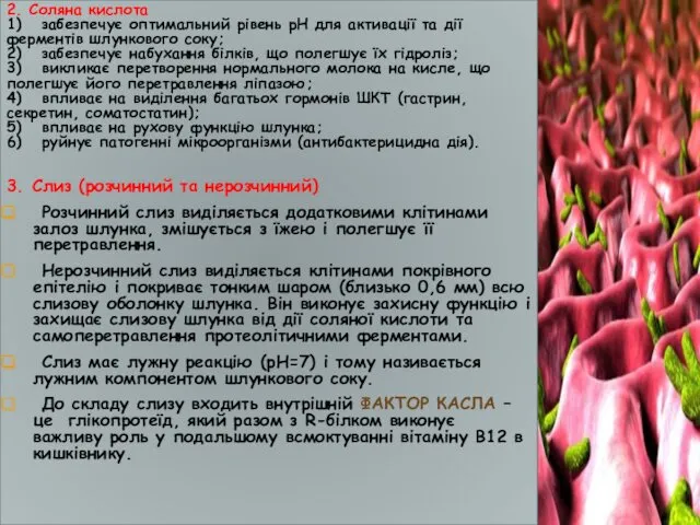 2. Соляна кислота 1) забезпечує оптимальний рівень pH для активації