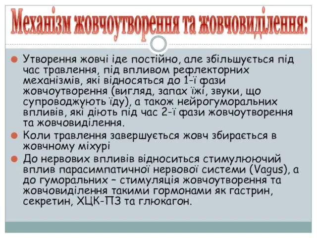 Механізм жовчоутворення та жовчовиділення: Утворення жовчі іде постійно, але збільшується