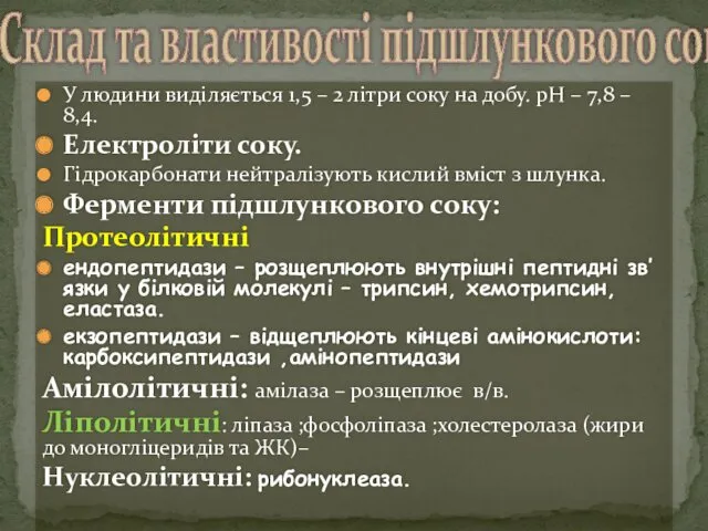 У людини виділяється 1,5 – 2 літри соку на добу.