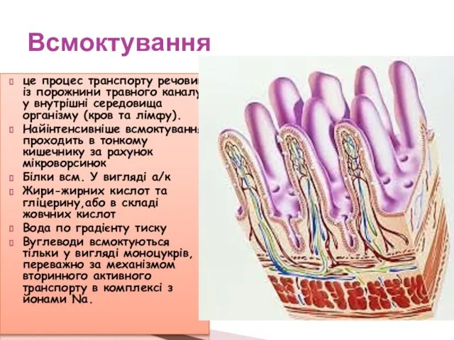 це процес транспорту речовин із порожнини травного каналу у внутрішні