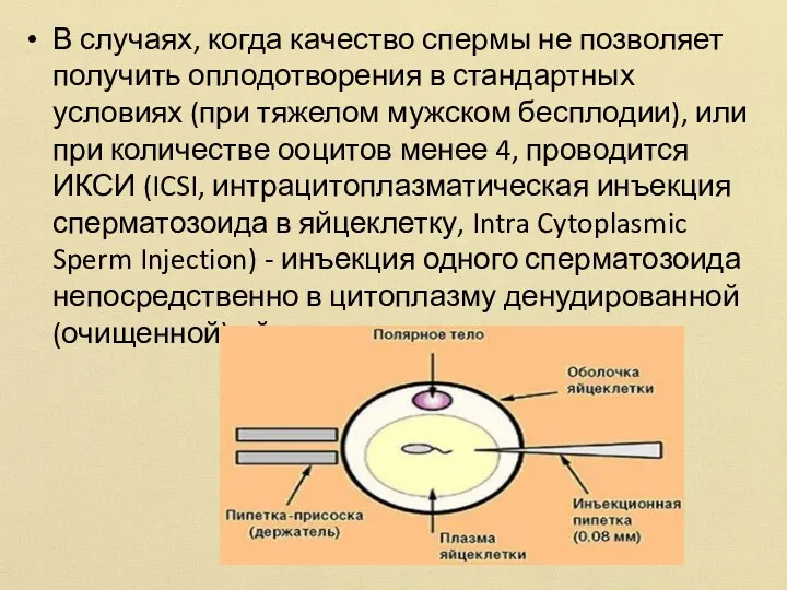 В случаях, когда качество спермы не позволяет получить оплодотворения в