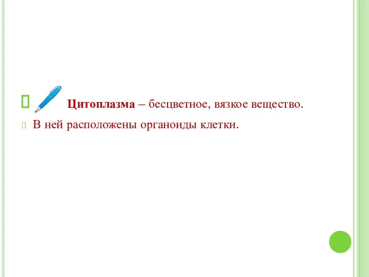 ? Цитоплазма – бесцветное, вязкое вещество. В ней расположены органоиды клетки.