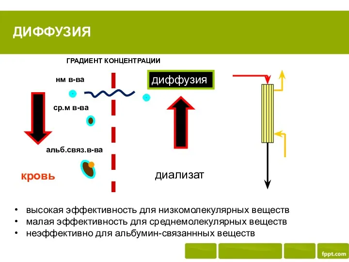 ДИФФУЗИЯ кровь диализат диффузия нм в-ва ср.м в-ва альб.связ.в-ва высокая
