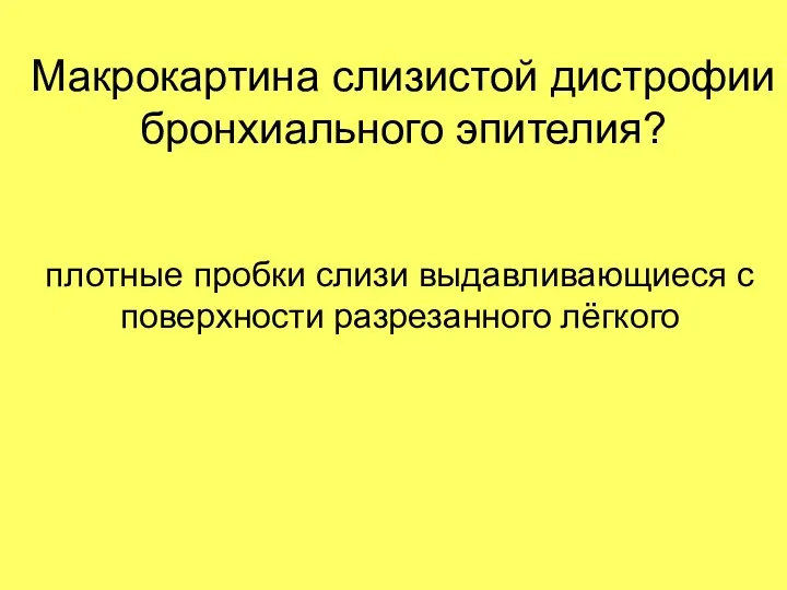 Макрокартина слизистой дистрофии бронхиального эпителия? плотные пробки слизи выдавливающиеся с поверхности разрезанного лёгкого