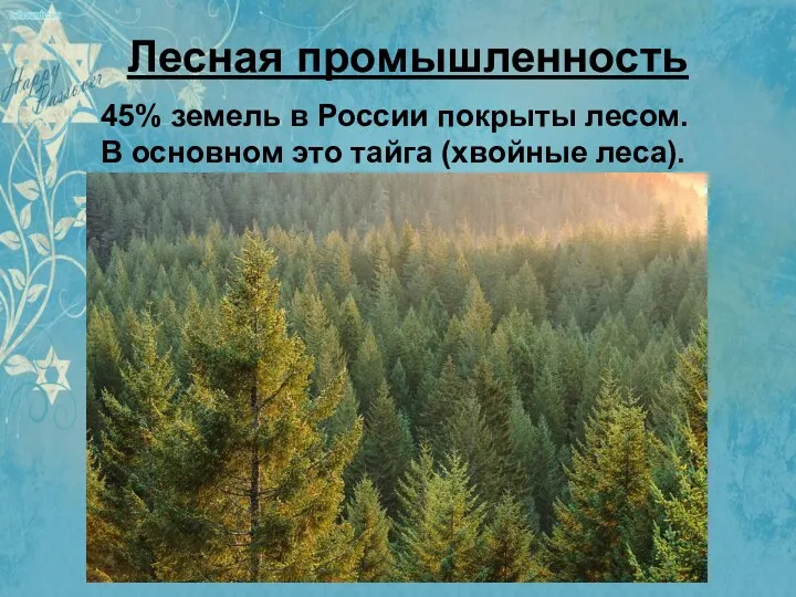Лесная промышленность 45% земель в России покрыты лесом. В основном это тайга (хвойные леса).