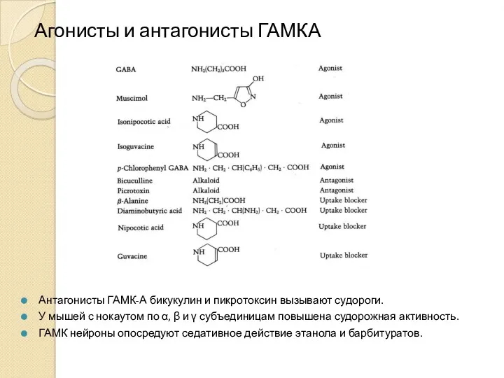 Агонисты и антагонисты ГАМКА Антагонисты ГАМК-А бикукулин и пикротоксин вызывают