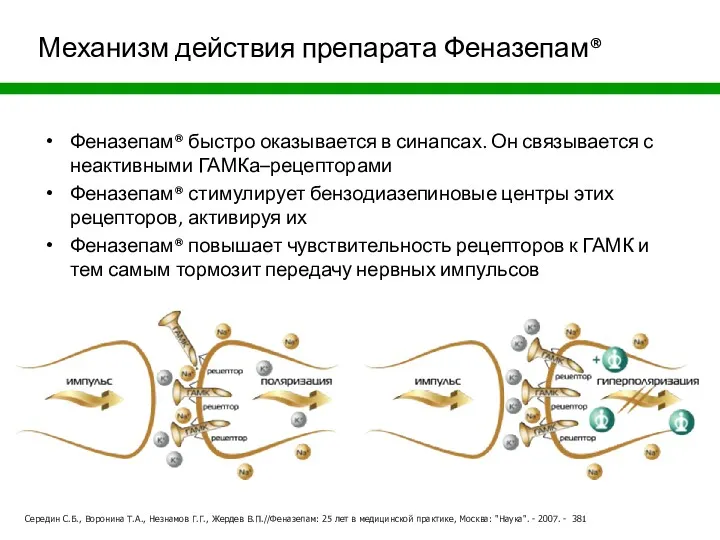 Механизм действия препарата Феназепам® Феназепам® быстро оказывается в синапсах. Он