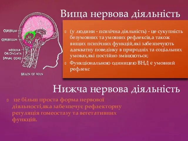 (у людини - психічна діяльність) - це сукупність безумовних та