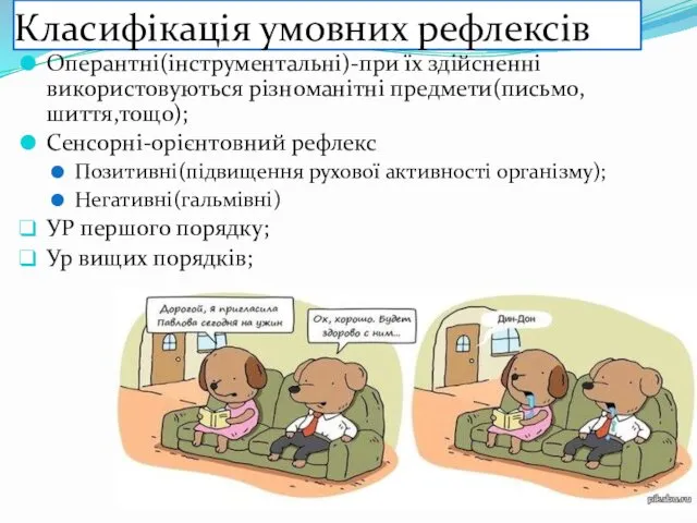 Класифікація умовних рефлексів Оперантні(інструментальні)-при їх здійсненні використовуються різноманітні предмети(письмо,шиття,тощо); Сенсорні-орієнтовний