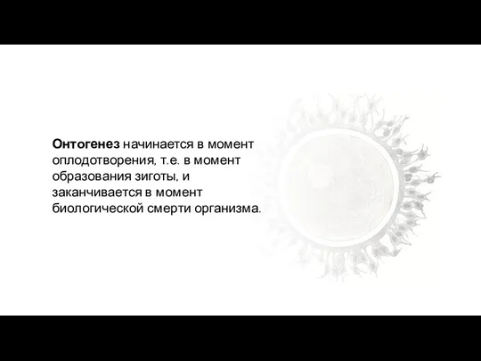 Онтогенез начинается в момент оплодотворения, т.е. в момент образования зиготы,