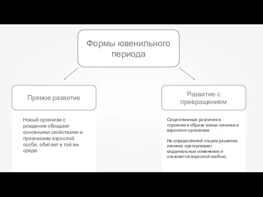 Формы ювенильного периода Новый организм с рождения обладает основными свойствами