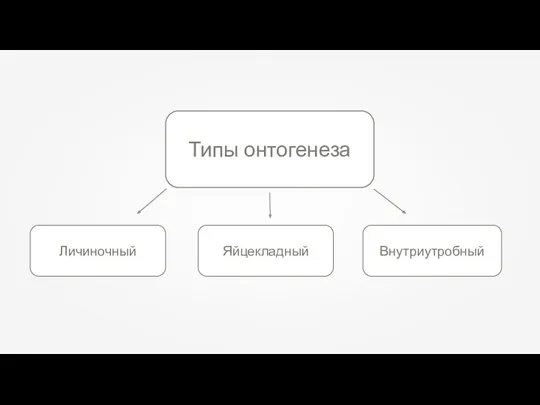 Типы онтогенеза