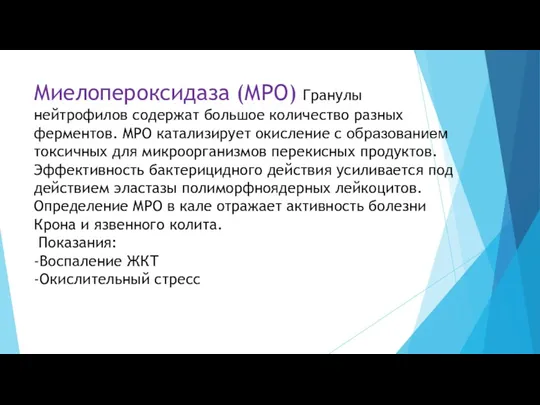 Миелопероксидаза (МРО) Гранулы нейтрофилов содержат большое количество разных ферментов. MPO