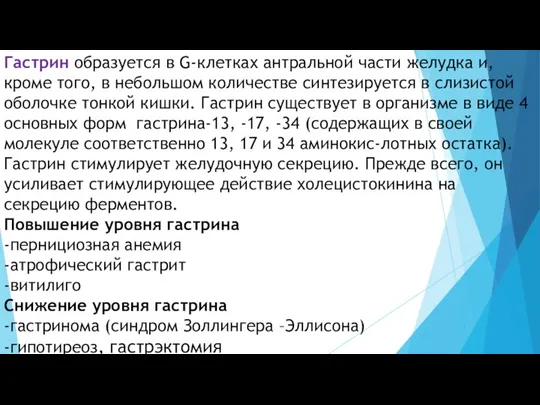 Гастрин образуется в G-клетках антральной части желудка и, кроме того,