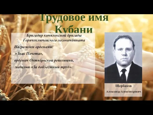 Трудовое имя Кубани Бригадир комплексной бригады Горячеключевского лесокомбината Награжден орденами: