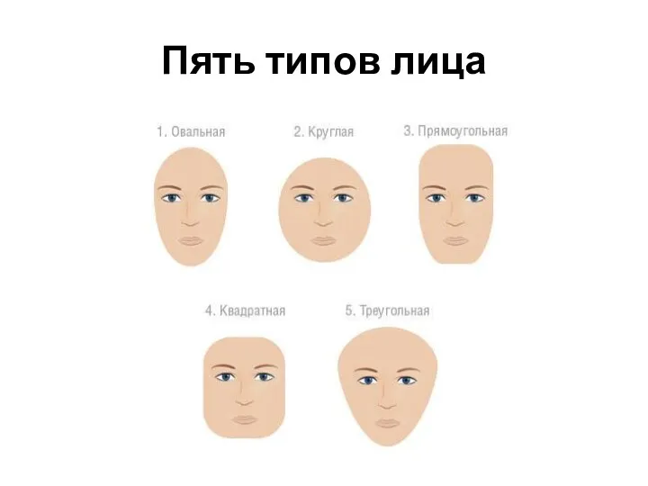 Пять типов лица