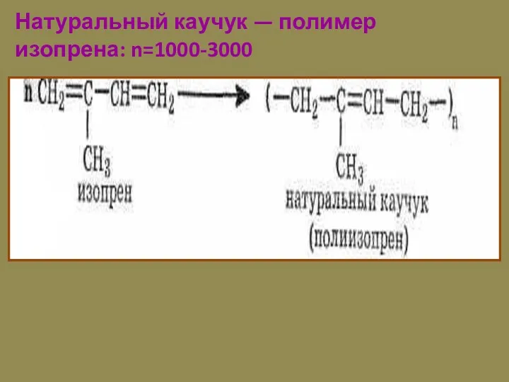 Натуральный каучук — полимер изопрена: n=1000-3000