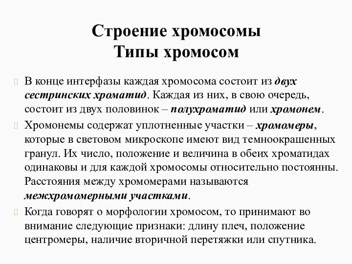 Строение хромосомы Типы хромосом В конце интерфазы каждая хромосома состоит