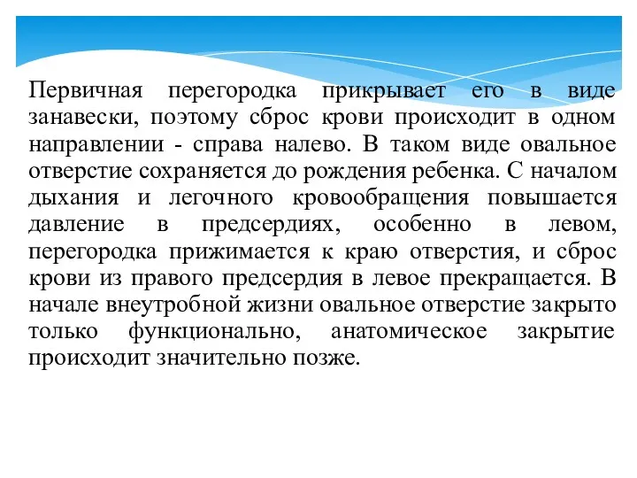 Первичная перегородка прикрывает его в виде занавески, поэтому сброс крови